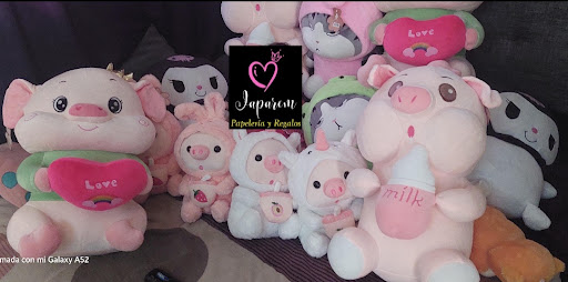 Japarem Papeleria y Regalos