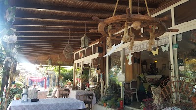 Photos of MELODİ BUTİK OTEL