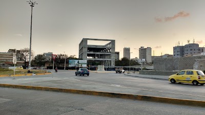 Photos of New Museum of Modern Art