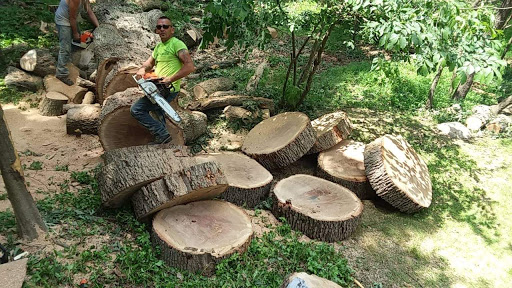 Done Right Tree Service llc - Thumbnail