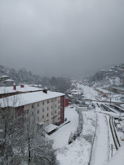 Zonguldak ISE Anatolian High School