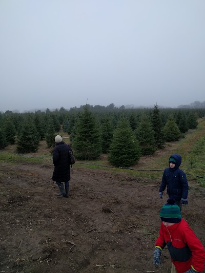 Photos of Oney's Tree Farm