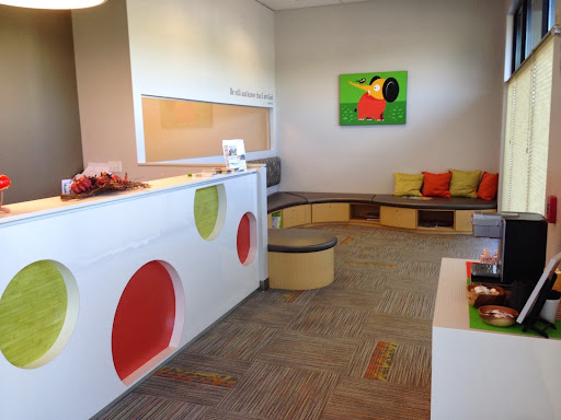 Bothell Everett Kids Dentistry - Visual