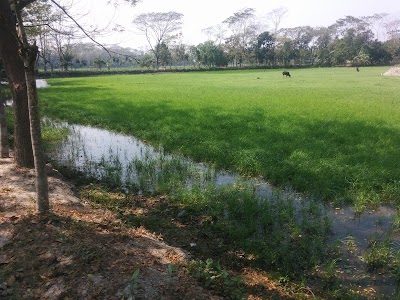 Photos of Project Sun Shine By Shuvo
