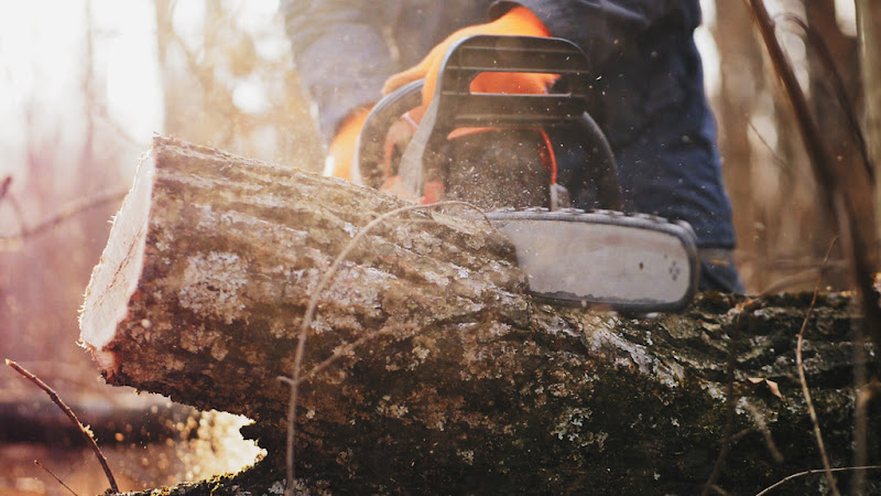 A-Action Tree Service of Citrus County, Inc.