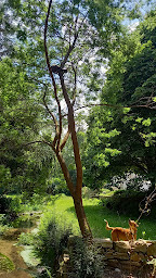 Photo n°19 de La Lande à Pleyber-Christ (Chambre d'hôtes)