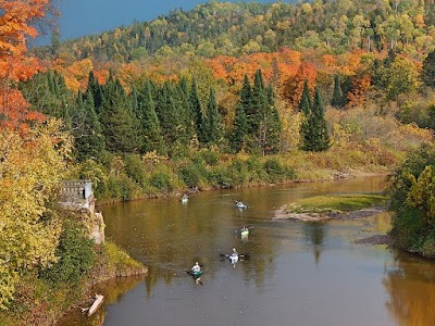 Photos of Stickley Beaver Lodge