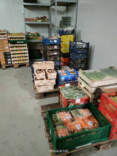 Früchte Ganserer - Visual