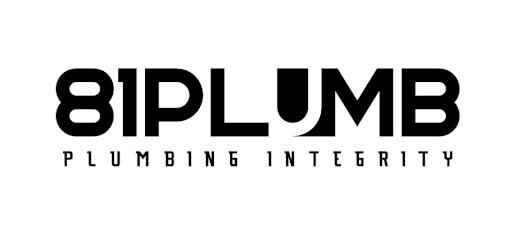 81Plumb - Visual