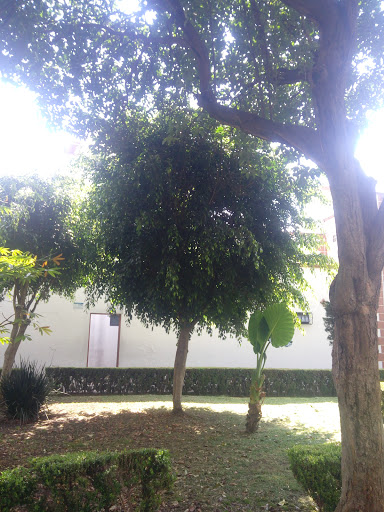 Colegio Bilingüe Dos Naciones Unidas - Thumbnail