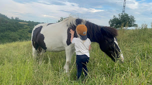 Photo n°18 de Poney Club de Barny à Beauvallon (Centre équestre)