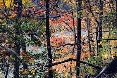 Cumberland Falls Campground