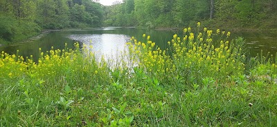 Harrison State Forest Camp Ground