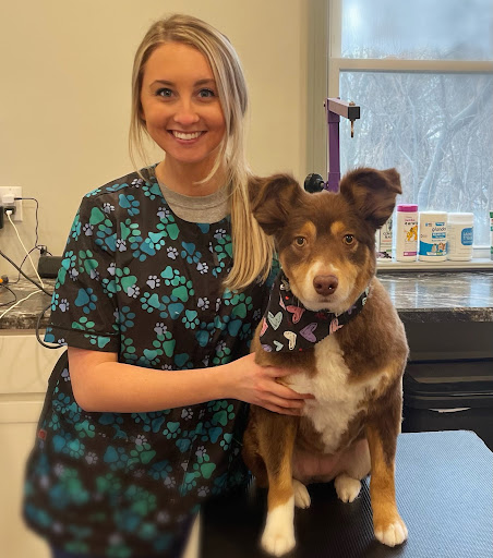 Tailored Pups Dog Grooming - Thumbnail