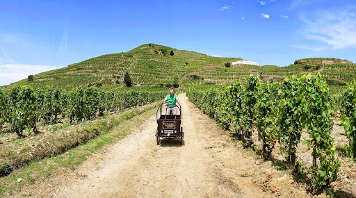 Des Terrasses du Rhône au Sommelier - Thumbnail