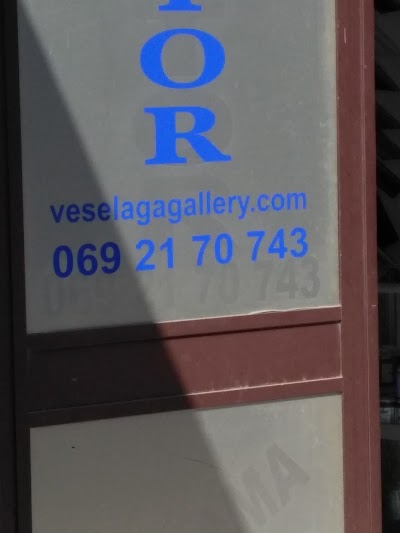 Veselaga Gallery