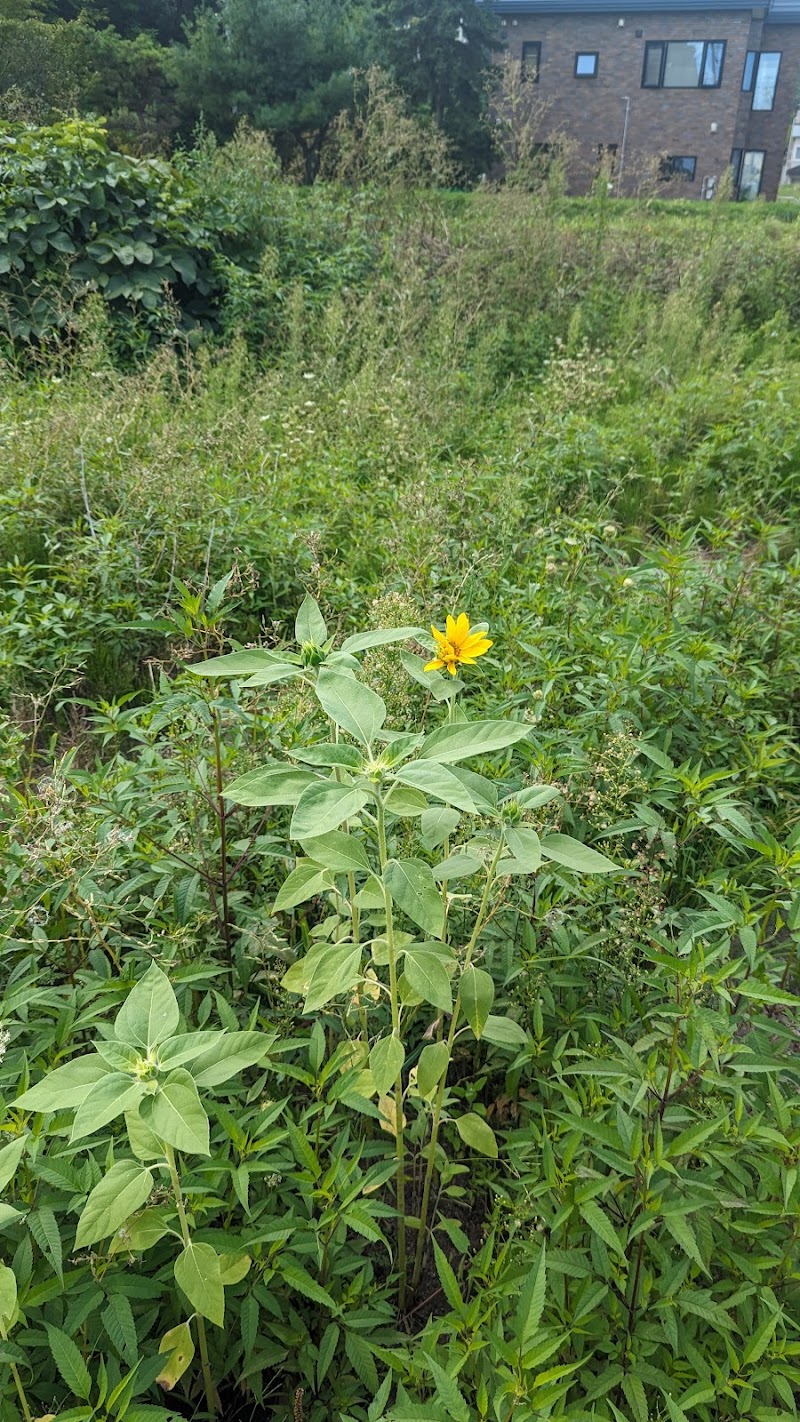 医療対応型あんみナーシングホーム手稲 24時間看護師常駐