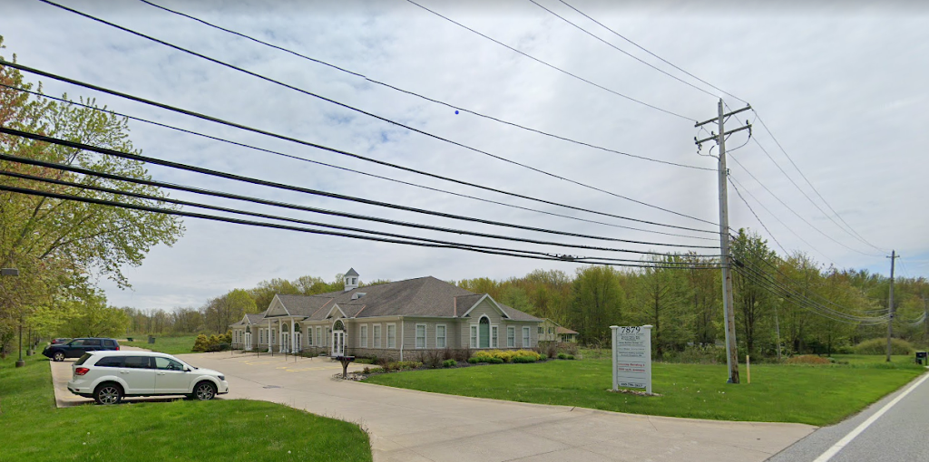 Lake Cardiovascular Llc