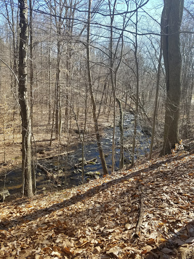 India Brook Natural Area - Thumbnail