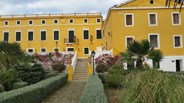 Museo Binissues