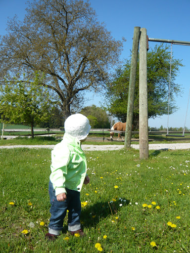 Steinberger Hof - Partyservice / Catering, Ferienwohnungen, Landwirtschaft - Thumbnail