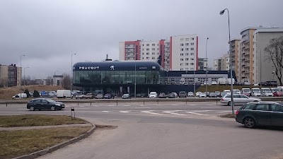 car-dealer