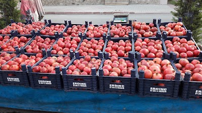 Photos of Sel&ccedil;uk Parkı