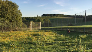 Photo n°2 de La Ferme de Velbret à Minot (Éleveur)