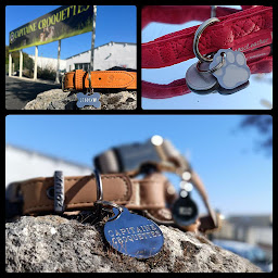 Photo n°10 de Capitaine Croquettes Saintes à Saint-Georges-des-Coteaux (Magasin)