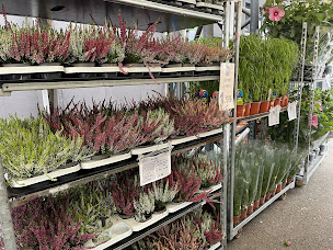 Photo n°1 de Melo Angoulême/Champniers à Champniers (Boutique de produits de toilette)