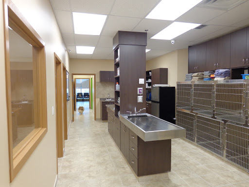 Upper Oakville Pet Hospital - Thumbnail