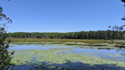 Hanging Bog Wildlife Management Area