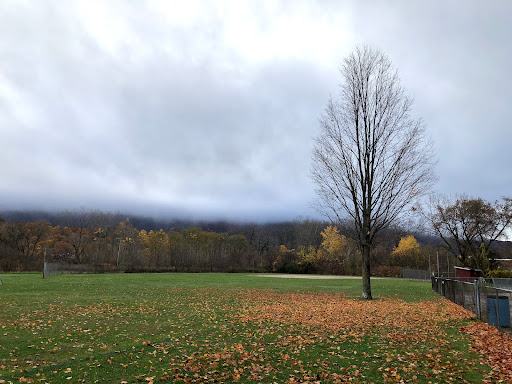 Disanti Playing Field Gallery - United States