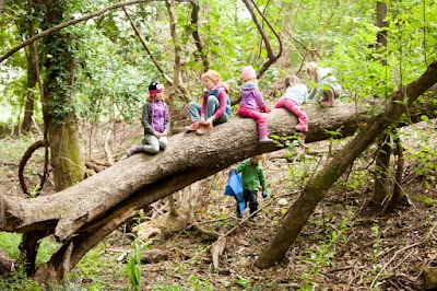 The Waldorf School of St. Louis