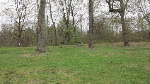 Welch Pool - Visual