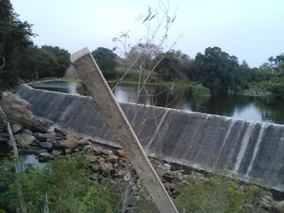 Photos of Kaminra River Garden