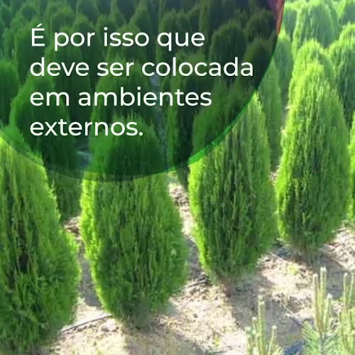 Horário de funcionamento de Eu Planto