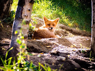 Parc Animalier d