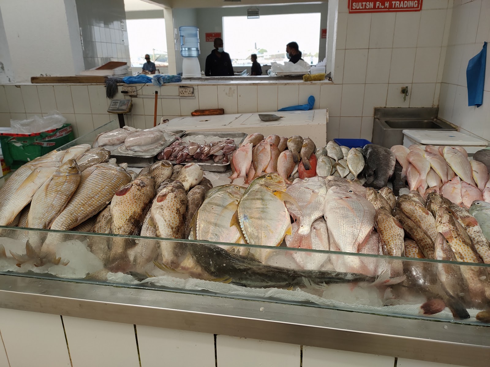 Ajman Fish Store - Prabin - صورة 2