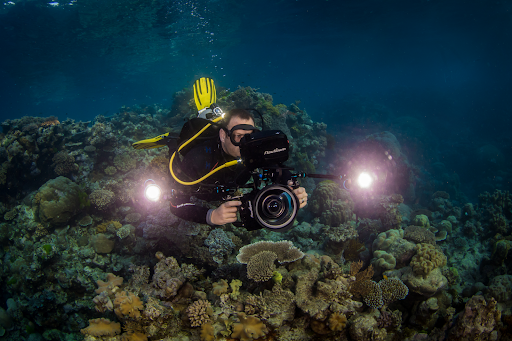 Grumpy Turtle Films - Visual