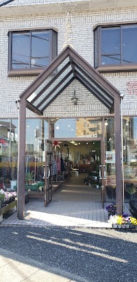 インテリアグリーン花澄