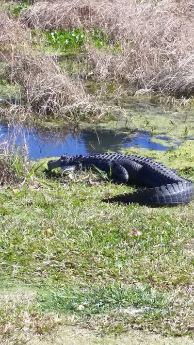 Photos of Ironwood Golf Course