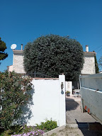 JASON Élagage à Nîmes