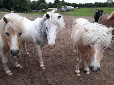 Photos of Pries, Walter R&ouml;nner Ponyhof