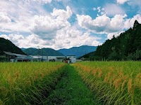 龍の瞳本社精米工場