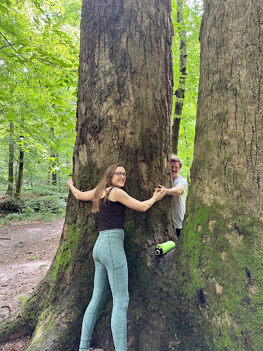 Frazer Forest - Visual