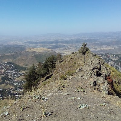 Photos of Ethiopian Landscape Tour
