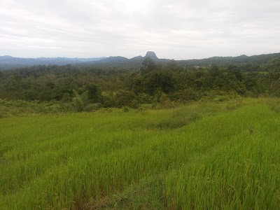 Photos of Horas Naibaho