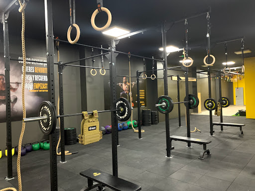 StrongfittestBox - Visual