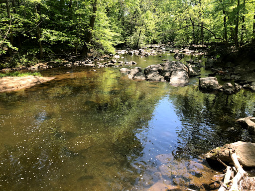 Rittenhouse Park - Visual